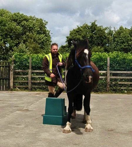 Standing Steady at the Mounting Block.