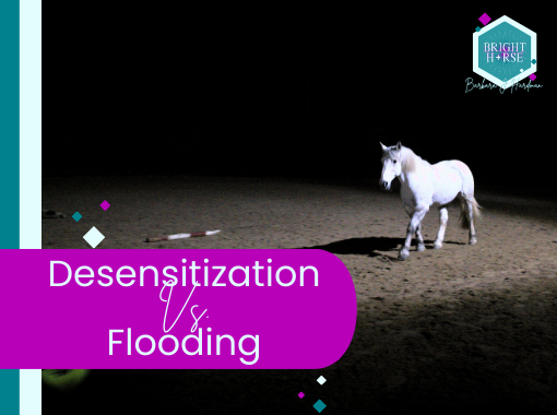 Navigating the Nuances of Equine Training: Understanding Desensitisation vs. Flooding