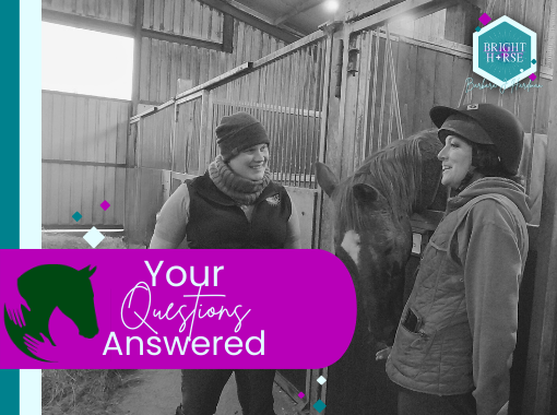 A Christmas Treat for Horse Lovers: Special Q&A Session with the IHWT