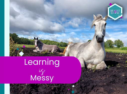 Learning is Messy